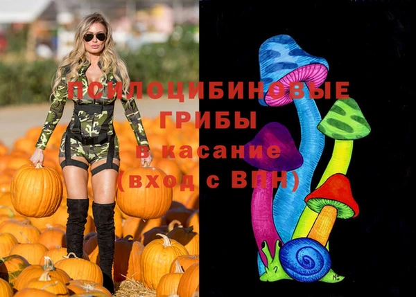 эйфоретик Нязепетровск