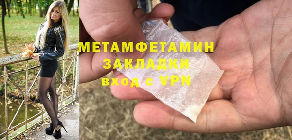 прущие грибы Шадринск