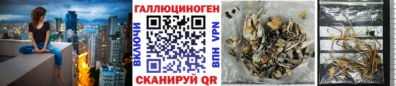 Галлюциногенные грибы Cubensis  цена   Ступино 