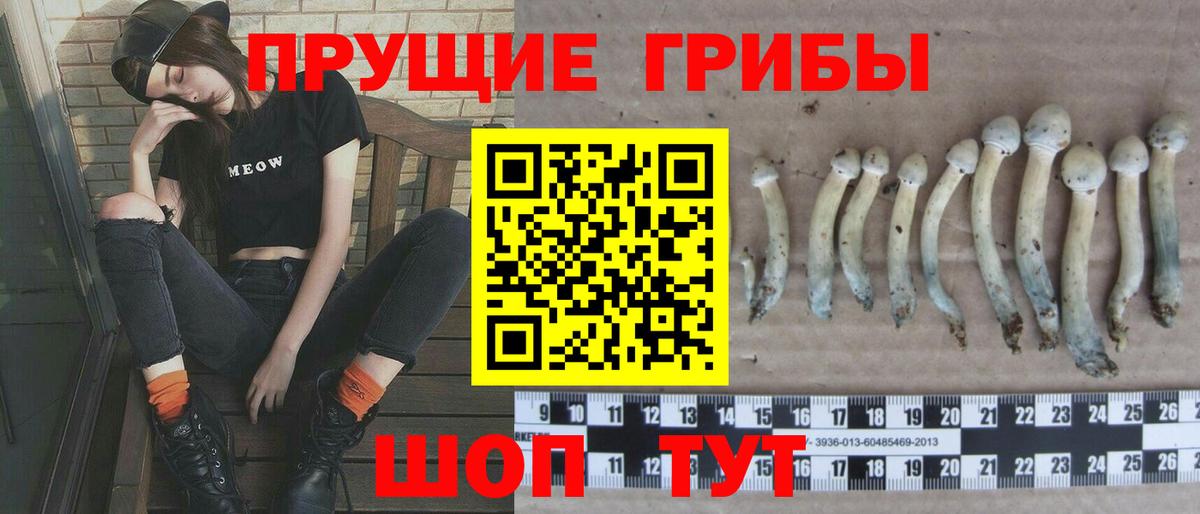 Псилоцибиновые грибы GOLDEN TEACHER Ступино