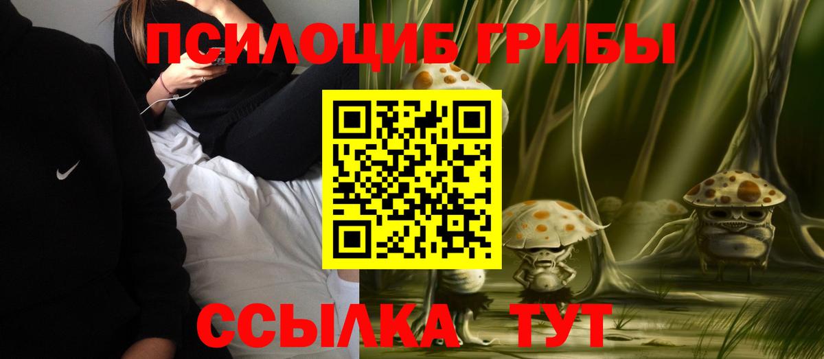 Ступино  Галлюциногенные грибы Psilocybe  Вход с VPN 